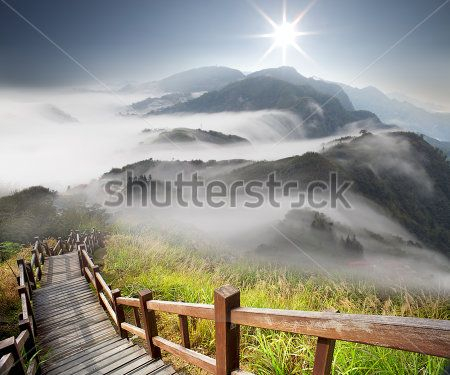 Каталог Фотообои парк:  | Wall-Style