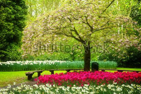 Каталог Фотообои парк:  | Wall-Style