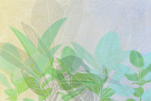 Каталог Фотообои листья и полосы:  | Wall-Style