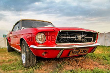 Каталог Картина mustang: Техника и транспорт | Wall-Style