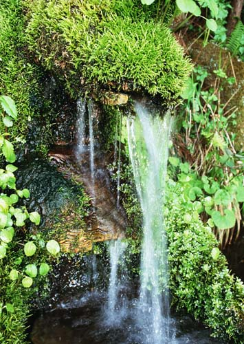 Каталог Фотообои водопад из ручья:  | Wall-Style