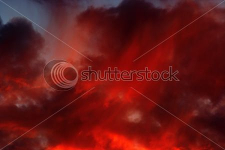 Каталог Фотообои облака:  | Wall-Style