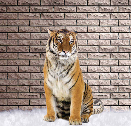 Каталог Фотообои тигр на фоне стены:  | Wall-Style