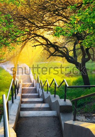 Каталог Фотообои парк:  | Wall-Style