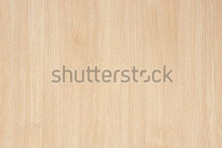 Каталог Фотообои дерево:  | Wall-Style