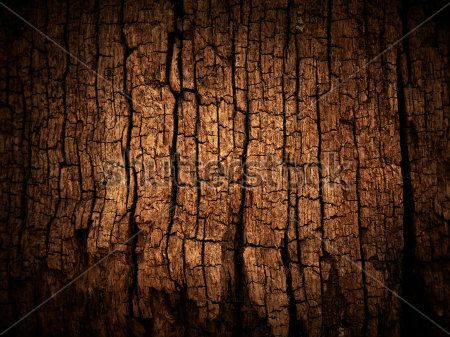 Каталог Фотообои кора:  | Wall-Style