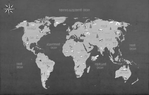 Каталог Фотообои серая карта мира:  | Wall-Style