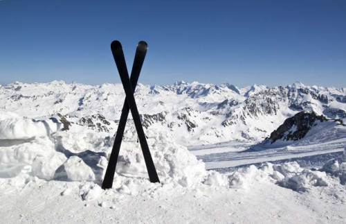 Каталог Картина лыжи: Спорт | Wall-Style