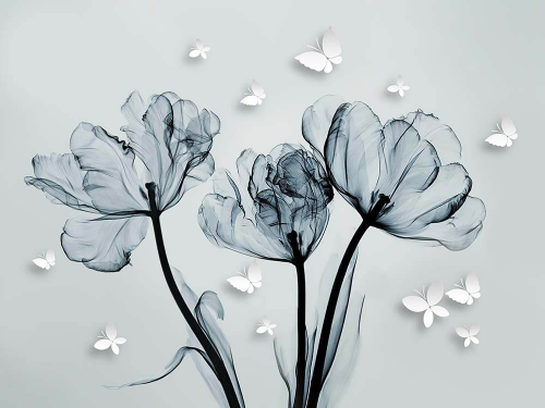 Каталог Фотообои распущенные тюльпаны:  | Wall-Style