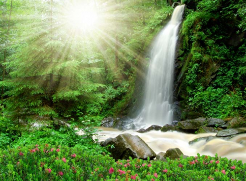 Каталог Фотообои водопад в лесу:  | Wall-Style
