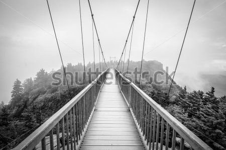 Каталог Фотообои подвесной мост:  | Wall-Style