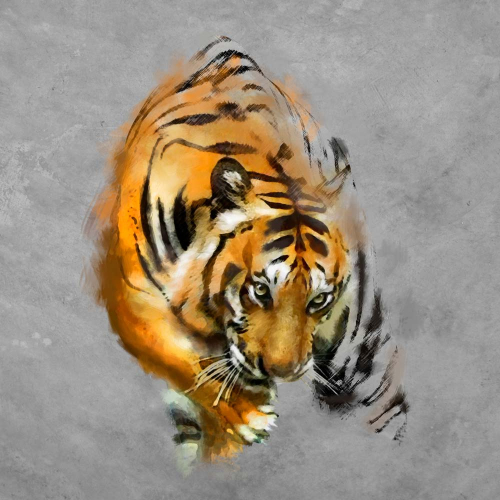 Каталог Фотообои тигр на сером фоне:  | Wall-Style