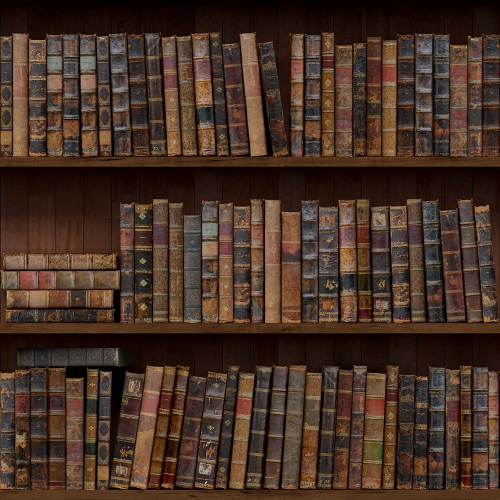 Каталог Картина старинные книги: Интерьеры | Wall-Style