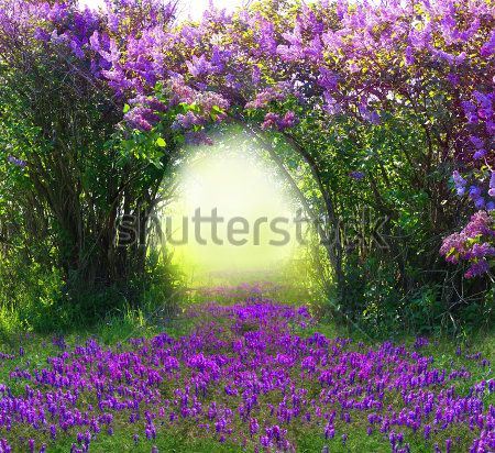 Каталог Фотообои парк:  | Wall-Style