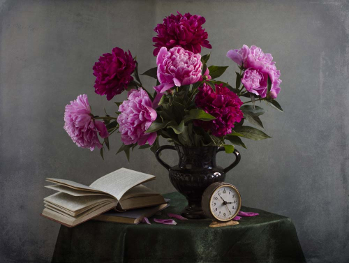 Каталог Фотообои классические пионы:  | Wall-Style