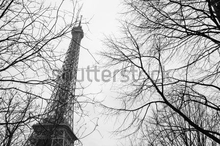 Каталог Фотообои эйфелева башня:  | Wall-Style