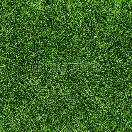 Каталог Картина зеленый газон: Фоны и текстуры | Wall-Style