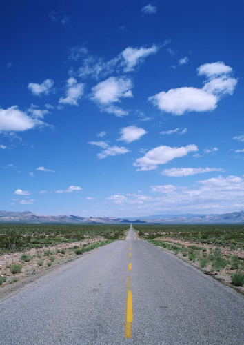 Каталог Картина новая дорога: Природа | Wall-Style