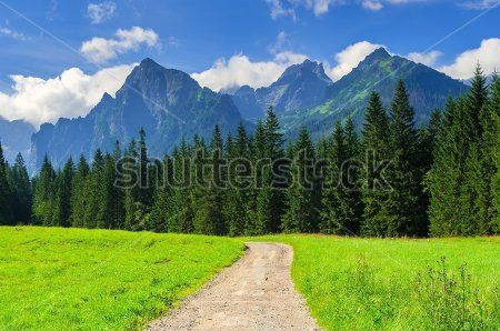 Каталог Картина горы: Природа | Wall-Style