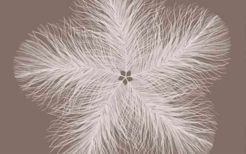 Каталог Фотообои перья в виде цветка:  | Wall-Style