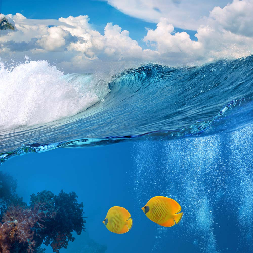 Каталог Картина желтые рыбки: Море | Wall-Style