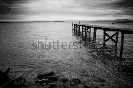 Каталог Картина пирс: Природа | Wall-Style