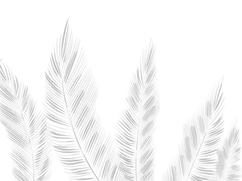 Каталог Картина белые листья: Листья | Wall-Style