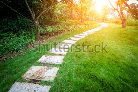 Каталог Фотообои парк:  | Wall-Style