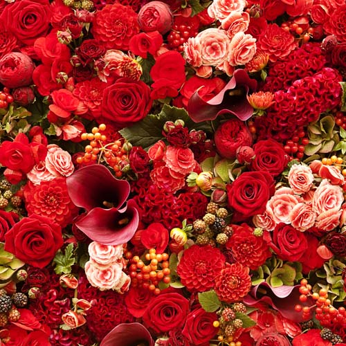 Каталог Картина красный букет цветов: Цветы и растения | Wall-Style