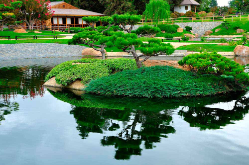 Каталог Фотообои зеленый сад:  | Wall-Style