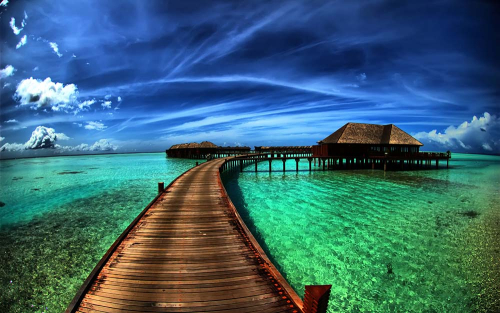 Каталог Картина яркая природа: Море | Wall-Style