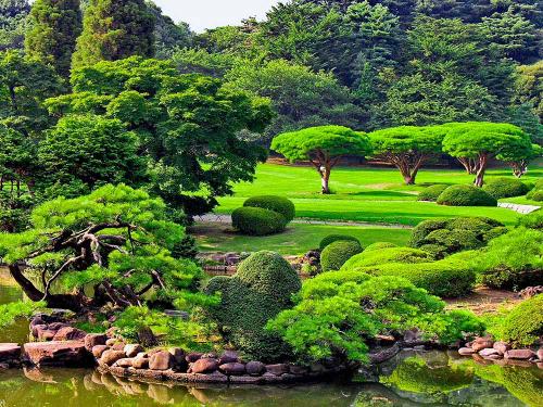 Каталог Фотообои зеленые японские сады:  | Wall-Style