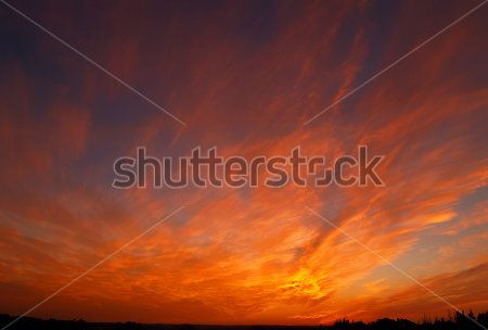 Каталог Фотообои небо:  | Wall-Style
