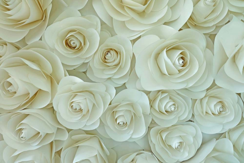 Каталог Картина белые бумажные розы: Цветы и растения | Wall-Style