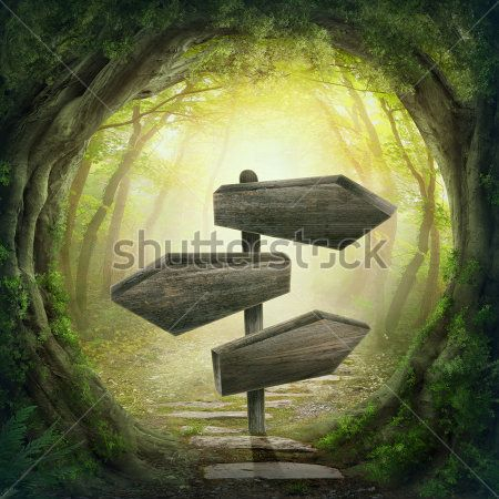 Каталог Фотообои табличка в лесу:  | Wall-Style