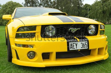 Каталог Картина mustang: Техника и транспорт | Wall-Style