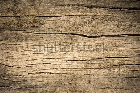 Каталог Картина дерево: Фоны и текстуры | Wall-Style
