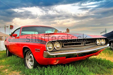 Каталог Фотообои dodge:  | Wall-Style