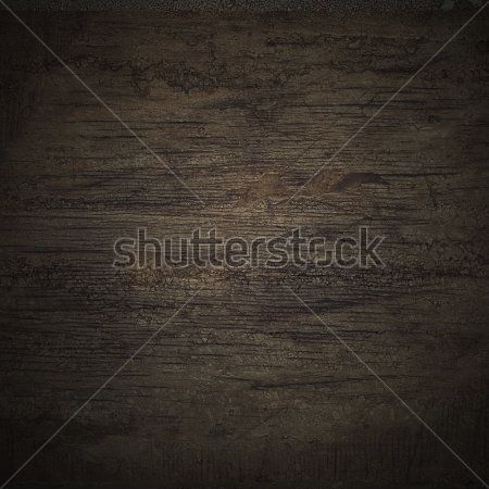 Каталог Фотообои дерево:  | Wall-Style