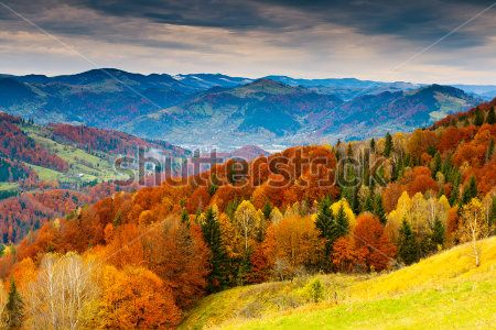 Каталог Фотообои горы:  | Wall-Style