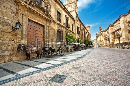 Каталог Фотообои улица:  | Wall-Style