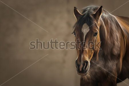 Каталог Картина лошадь: Животные | Wall-Style