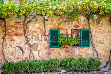 Каталог Фотообои веранда:  | Wall-Style