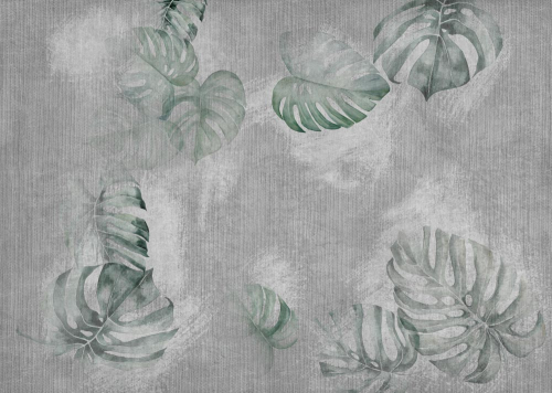 Каталог Фотообои монстера текстурная:  | Wall-Style