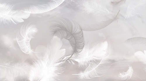 Каталог Фотообои белые перья:  | Wall-Style