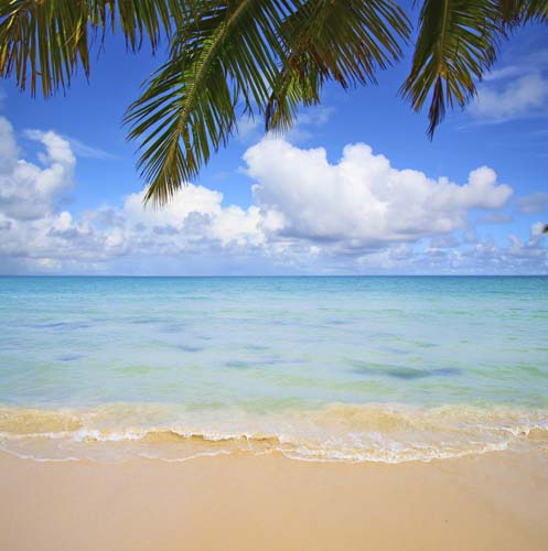 Каталог Картина голубое море: Море | Wall-Style