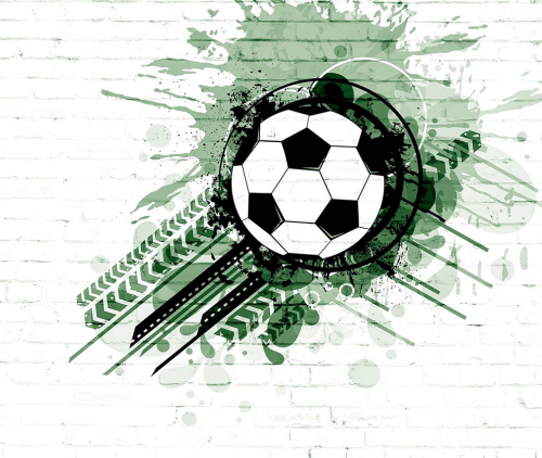Каталог Фотообои футбол:  | Wall-Style