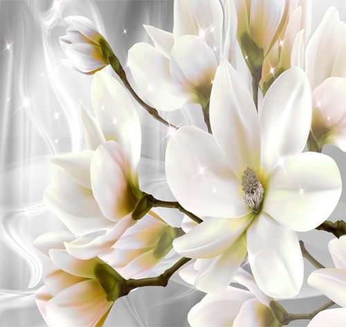 Каталог Фотообои магнолии блестящие:  | Wall-Style