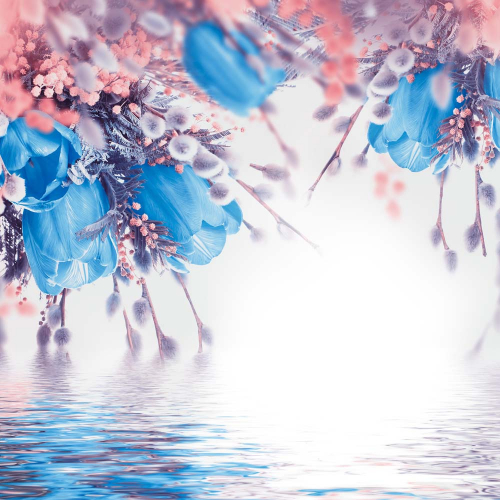 Каталог Фотообои цветущие тюльпаны:  | Wall-Style