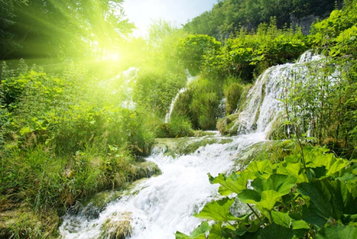 Каталог Картина водопадв зеденом лесу: Природа | Wall-Style